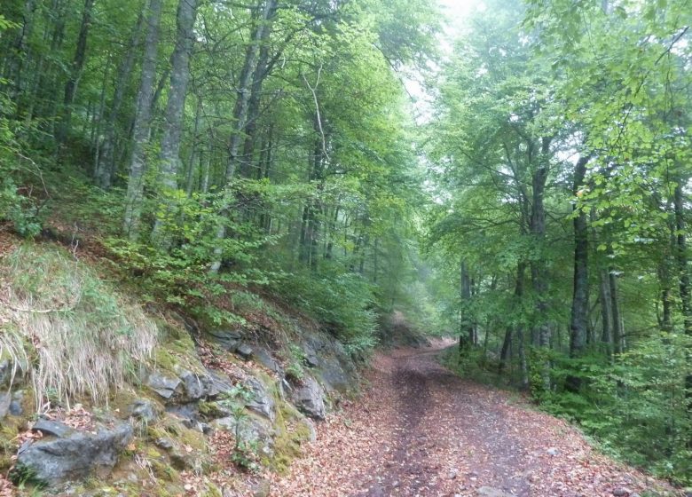 Le col d’Andorre