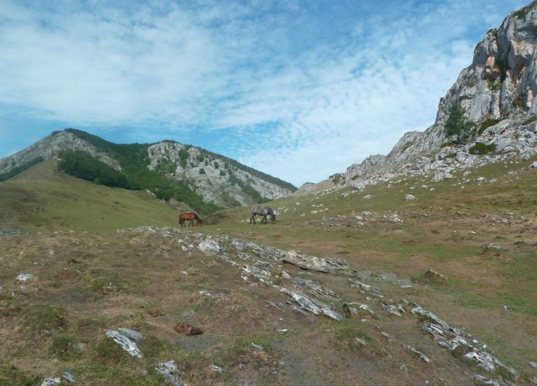 Le col d’Andorre