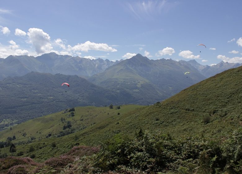 Circuit n°8 – Val d’Azun – La forêt d’Arragnat