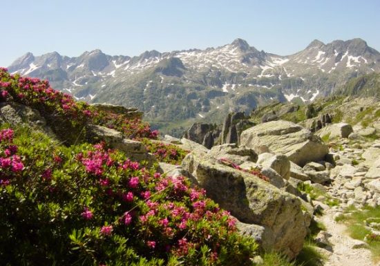 Le Tour des vallées de Cauterets en 4 jours