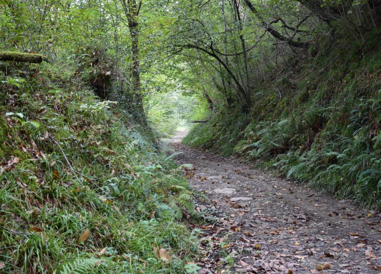 La boucle du camp de César (Bouhaben)