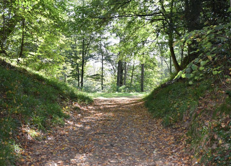 La boucle du camp de César (Bouhaben)