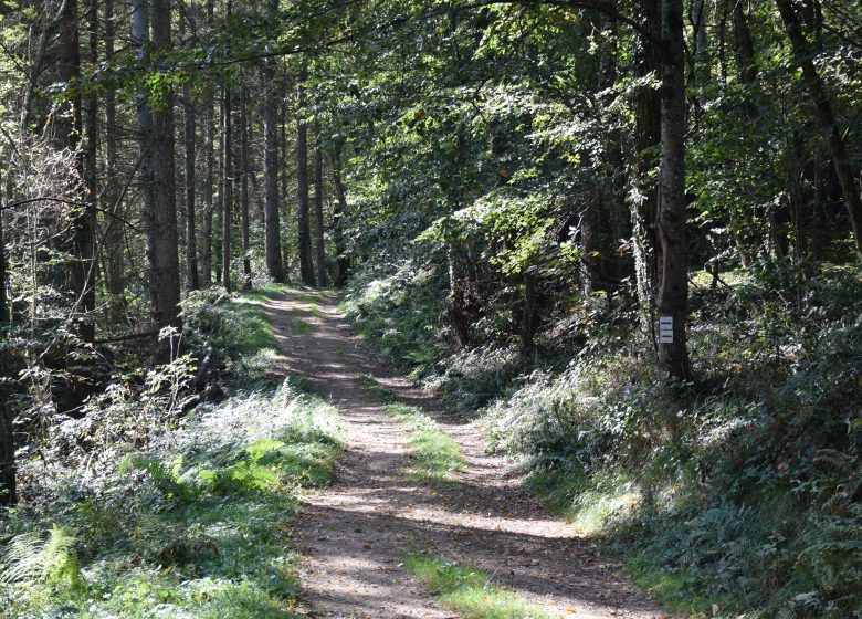 La boucle de la forêt de Pouzac