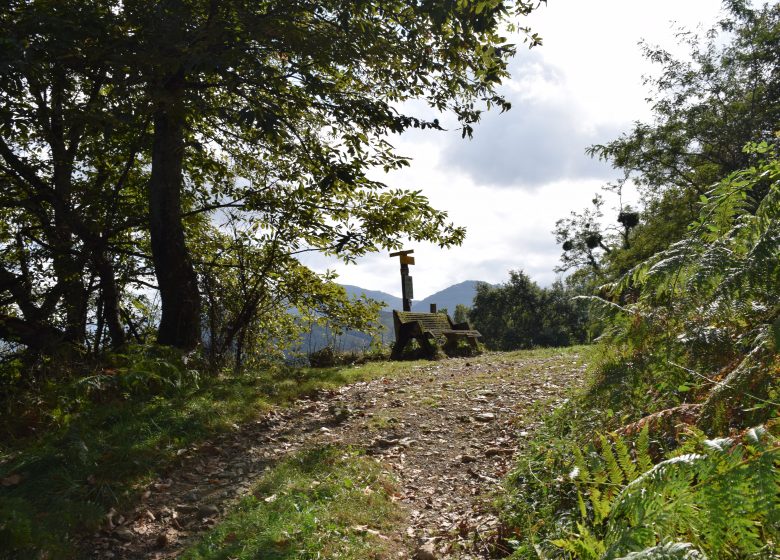 La boucle de la forêt de Pouzac