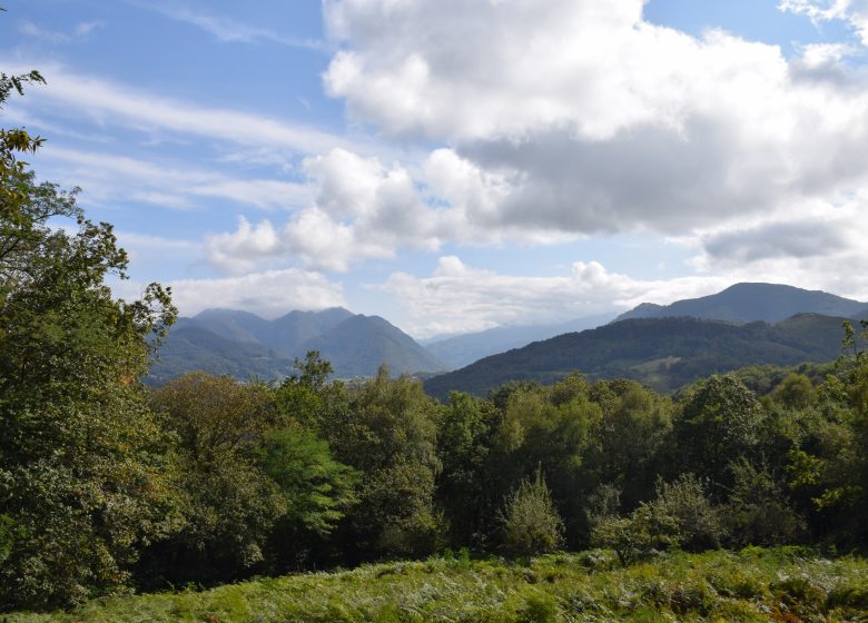 La boucle de la forêt de Pouzac