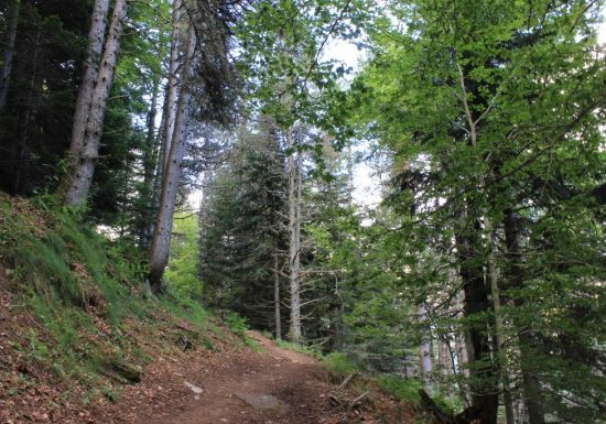 Le refuge des Espuguettes