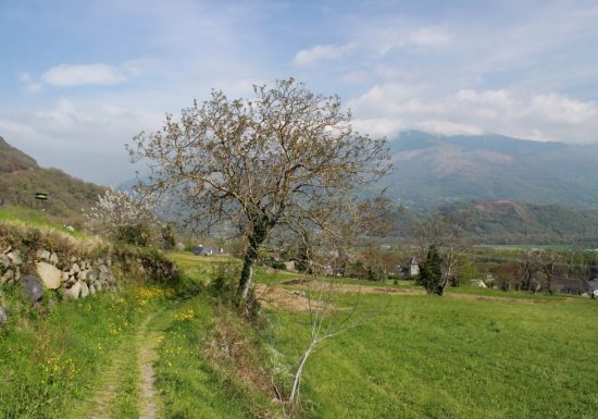 Circuit VTT n°4 – Vallée d’Argelès – L’Extrem de Salles