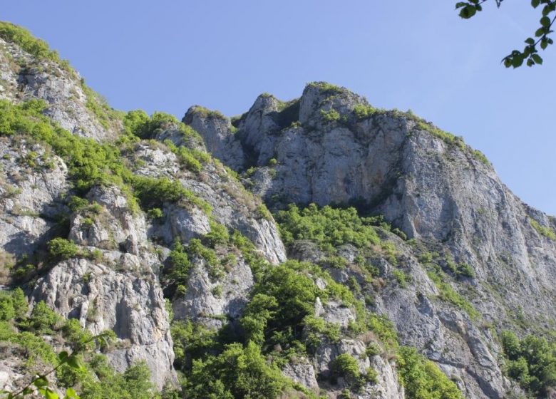 Sentier de découverte du Pibeste