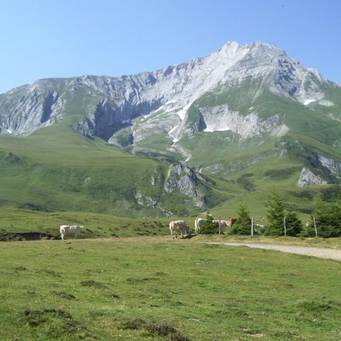 Circuit VTT n°14 – Val d’Azun – Traversée Soulor-Couraduque