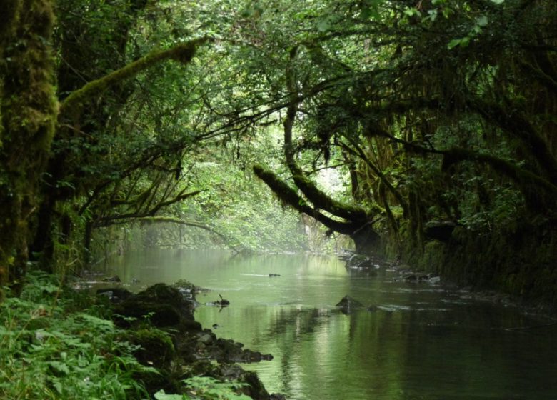 Gourgue d’Asque, sentier d’interprétation