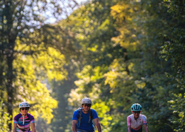 Parcours n°5 – Le pays de Lourdes