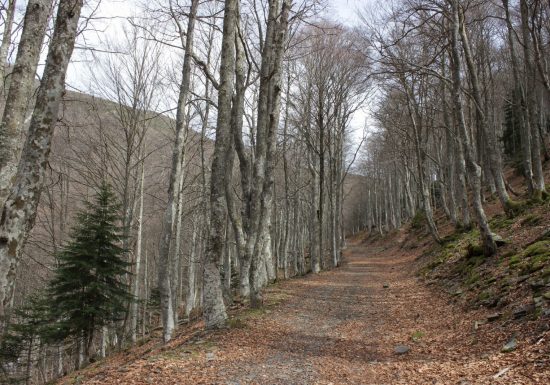 D&rsquo;Ortiac à Isaby