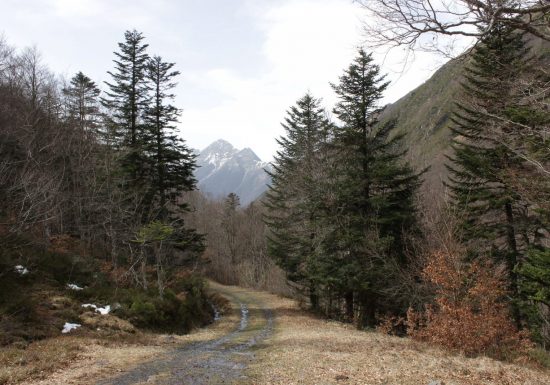 D&rsquo;Ortiac à Isaby