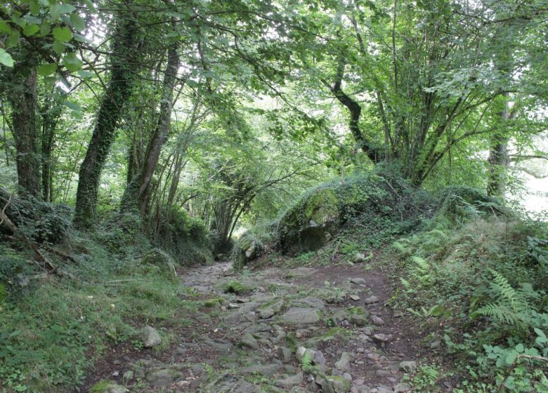 Le mont de Gez, depuis Arras