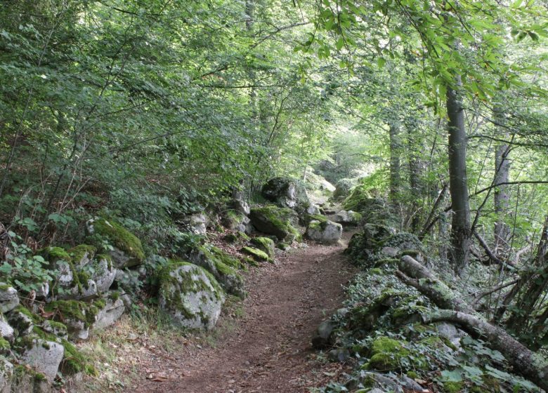 Le mont de Gez, depuis Arras