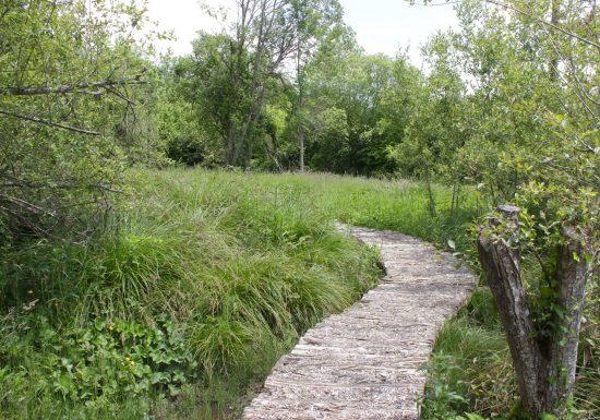 Aucun, au fil de l&rsquo;eau