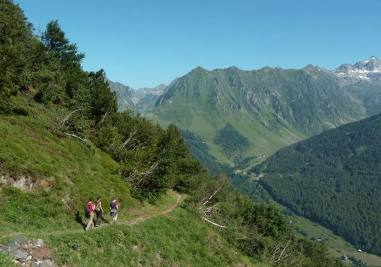 La montagne fleurie