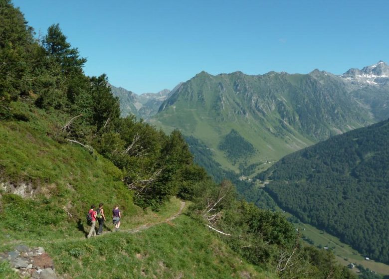 La montagne fleurie