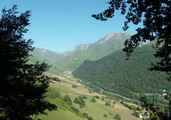 La montagne fleurie