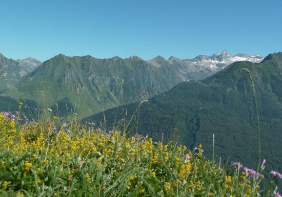 La montagne fleurie
