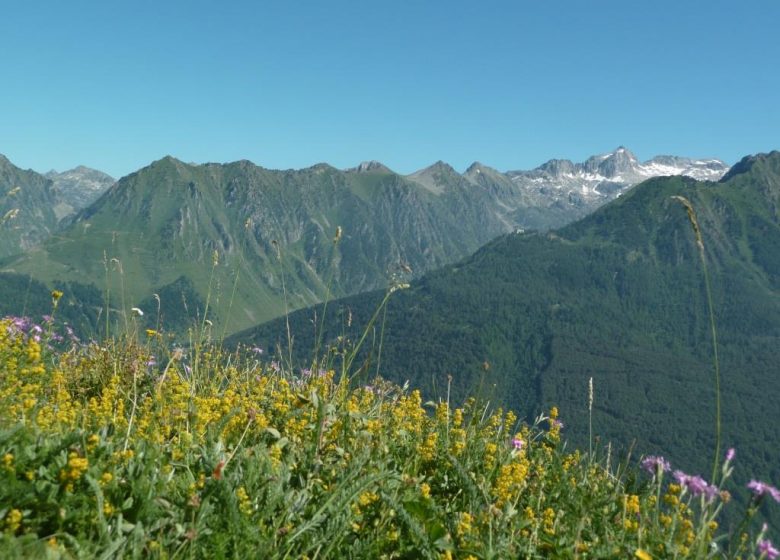 La montagne fleurie