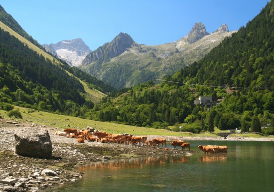 Lac et Barrage du Tech