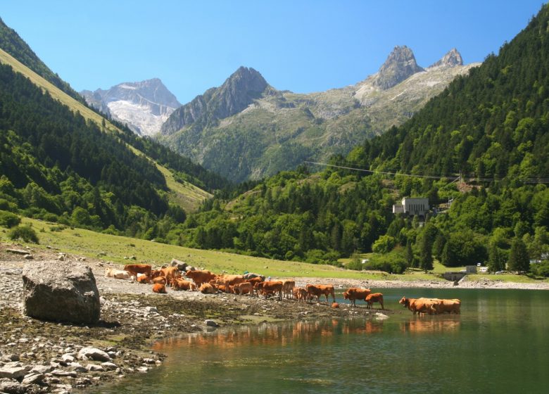 Lac et Barrage du Tech