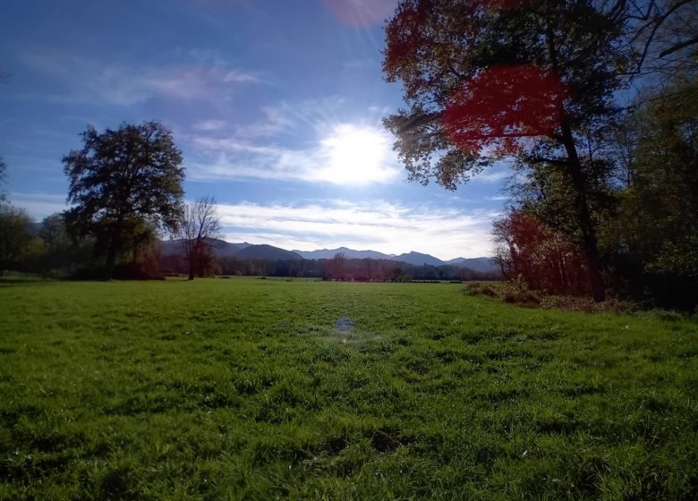 Plaine de Lesponne