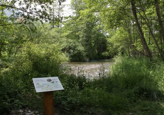 Aucun, au fil de l&rsquo;eau