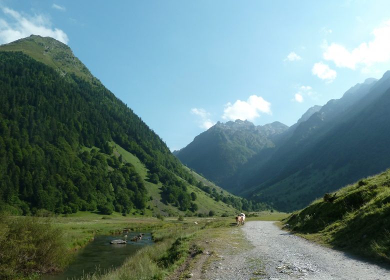 Le lac de Liantran