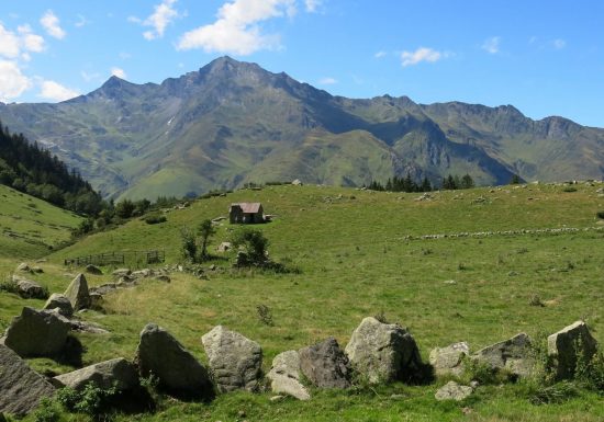 Circuit trail n°50 – Le Plateau du Lisey