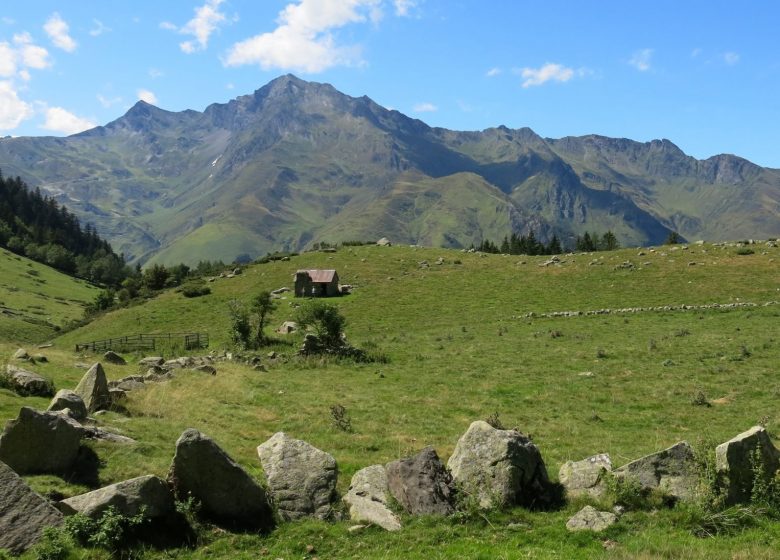 Circuit trail n°50 – Le Plateau du Lisey