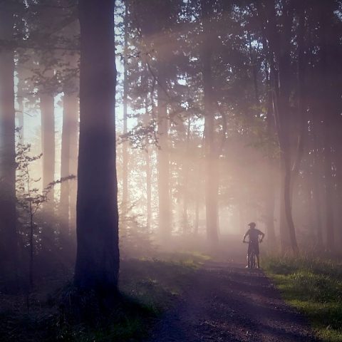 Circuit n°2 – Lourdes – Au fil du Gave