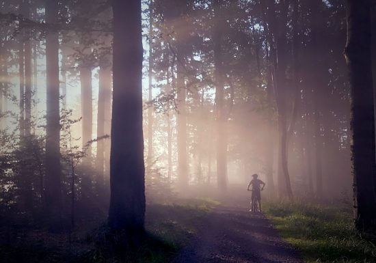 Circuit n°2 – Lourdes – Au fil du Gave