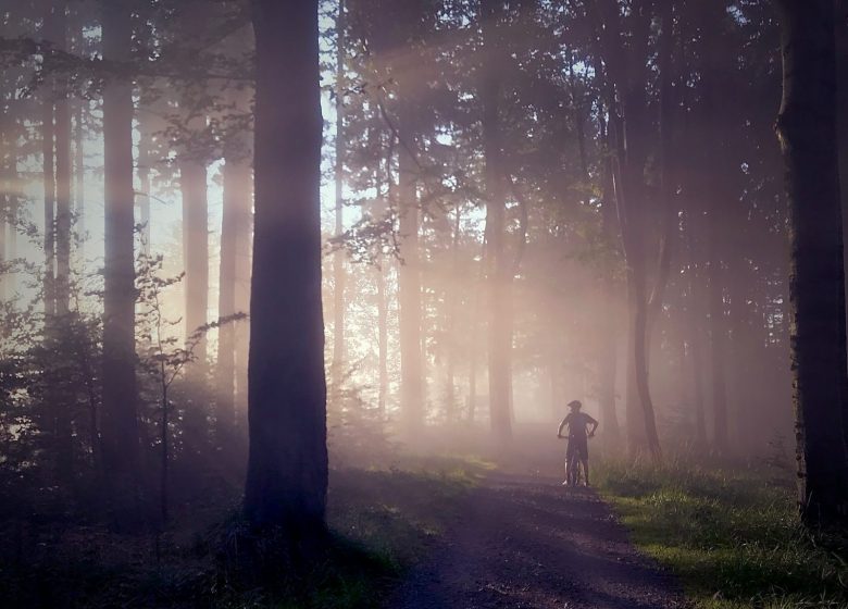 Circuit n°2 – Lourdes – Au fil du Gave