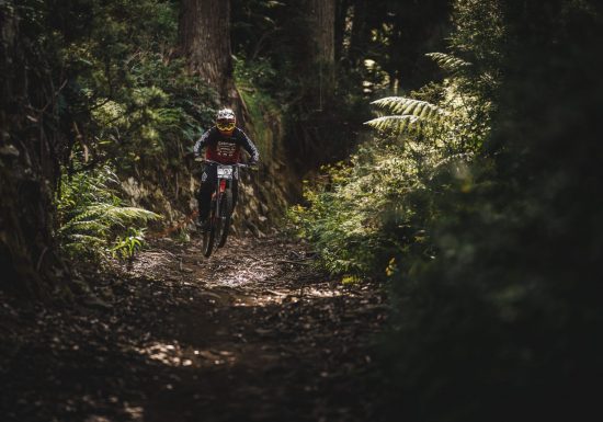 Circuit n°11 – Lourdes – La vallée de l’Ousse