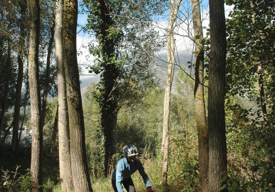 Circuit n°12 – Lourdes- Voie Verte et Sailhets