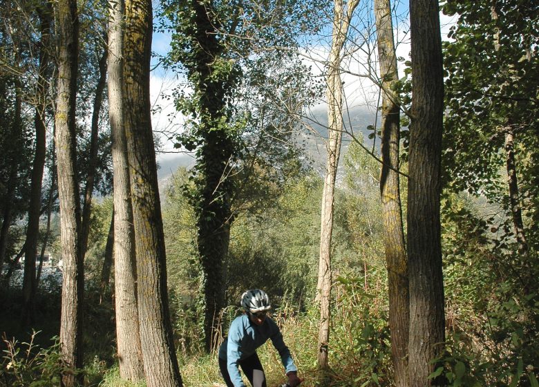 Circuit n°12 – Lourdes- Voie Verte et Sailhets