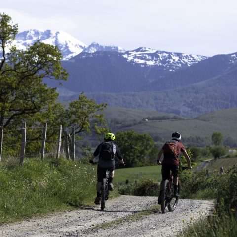 Circuit n°16 – Lourdes – La plaine de Lézignan