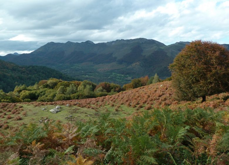 Le mont de Gez, depuis Arras