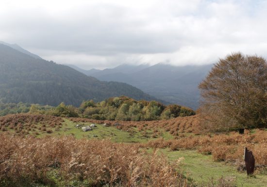 Circuit VTT n°12 – Val d’Azun – Mont de Gez