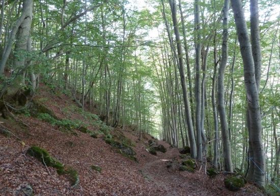 Le lac de Bassia – Campbieilh