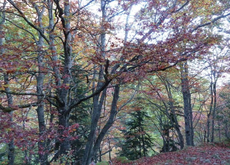 Le lac de Pouey Laun