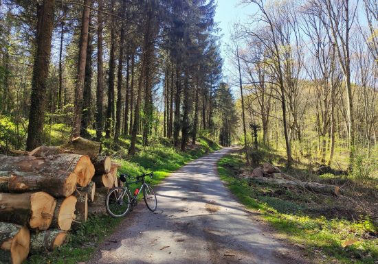 Parcours n°5 – Le pays de Lourdes