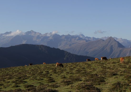 Les crêtes du Hautacam