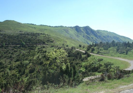 Les forêts de Couraduque