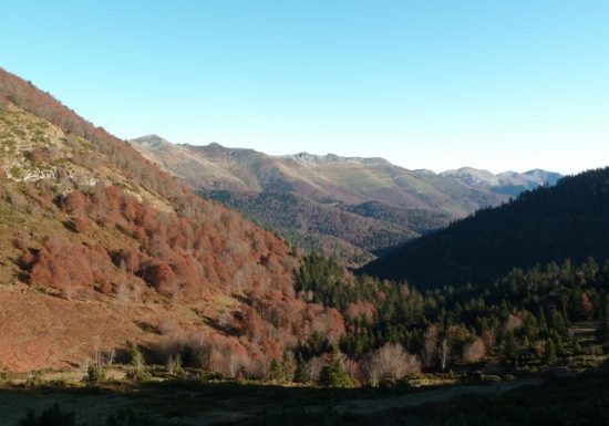 Circuit trail n°27 – Val d&rsquo;Azun – Le Petit Duc