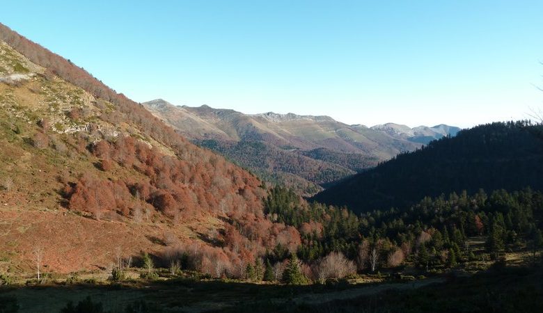 Circuit trail n°27 – Val d’Azun – Le Petit Duc
