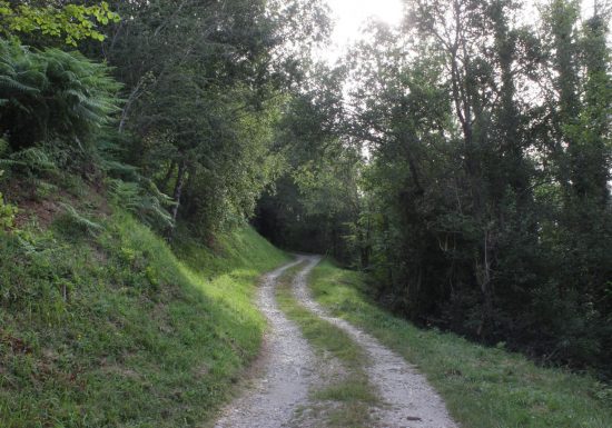 Sources de Nabias