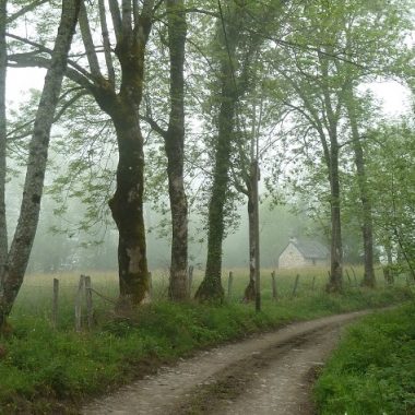 Circuit VTT n°6 – Val d’Azun – La vallée perdue